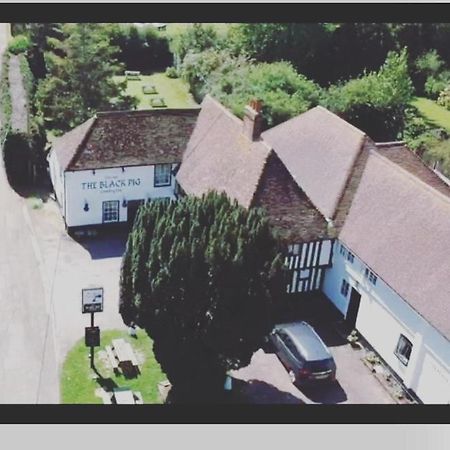 Bed and Breakfast The Black Pig Public House Staple Exteriér fotografie